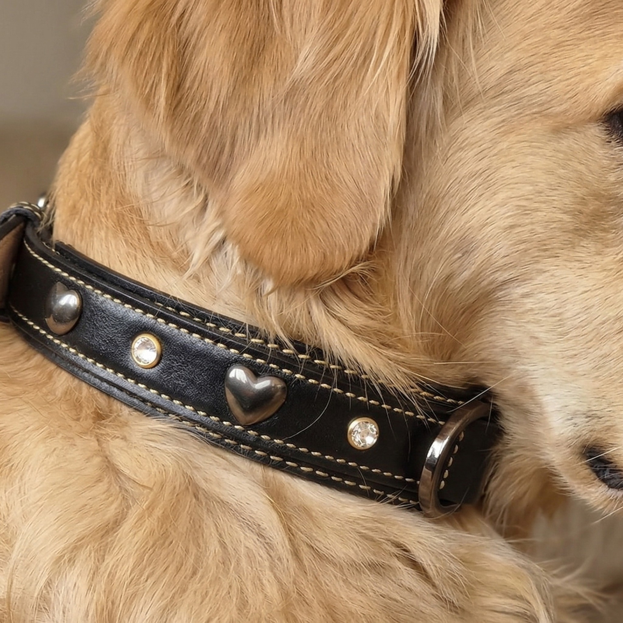 Set Collare con Cristalli e Guinzaglio in Pelle per Cani